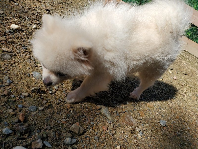 f:id:roukenhome-ann:20190907211602j:plain