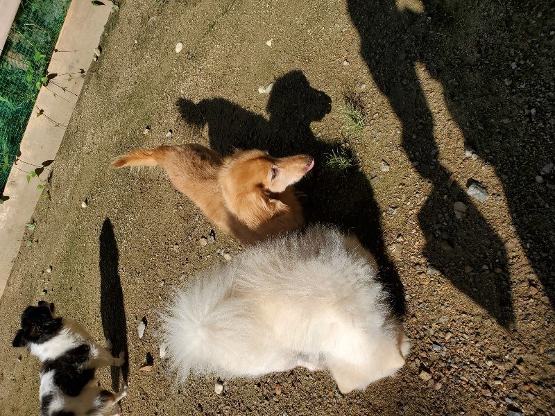 f:id:roukenhome-ann:20190907211624j:plain