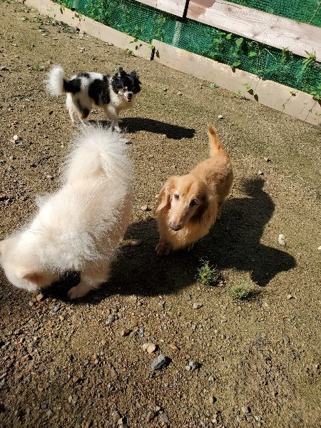f:id:roukenhome-ann:20190907211634j:plain