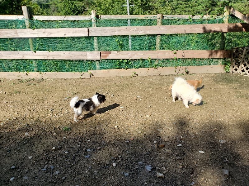 f:id:roukenhome-ann:20190907211648j:plain