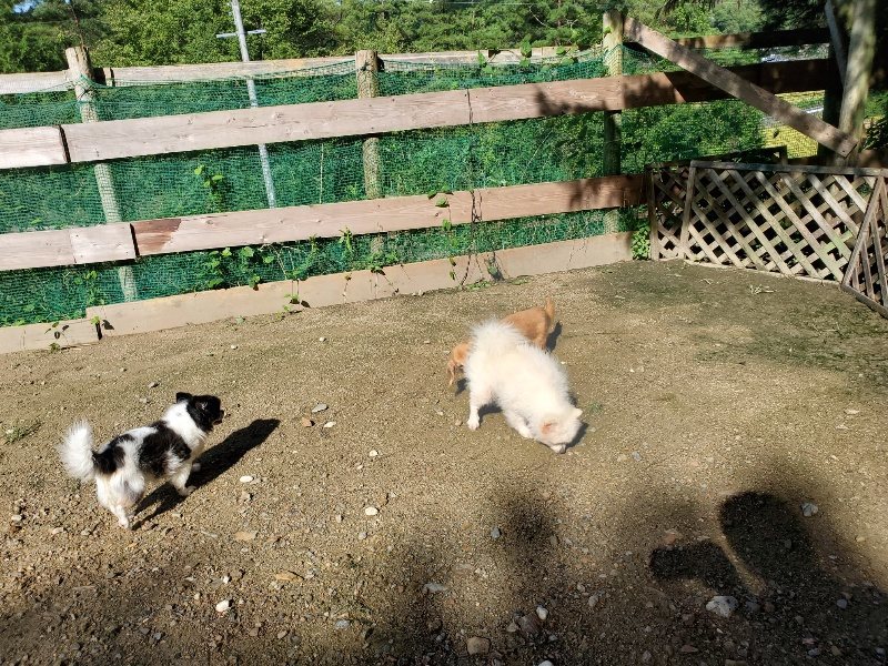 f:id:roukenhome-ann:20190907211704j:plain