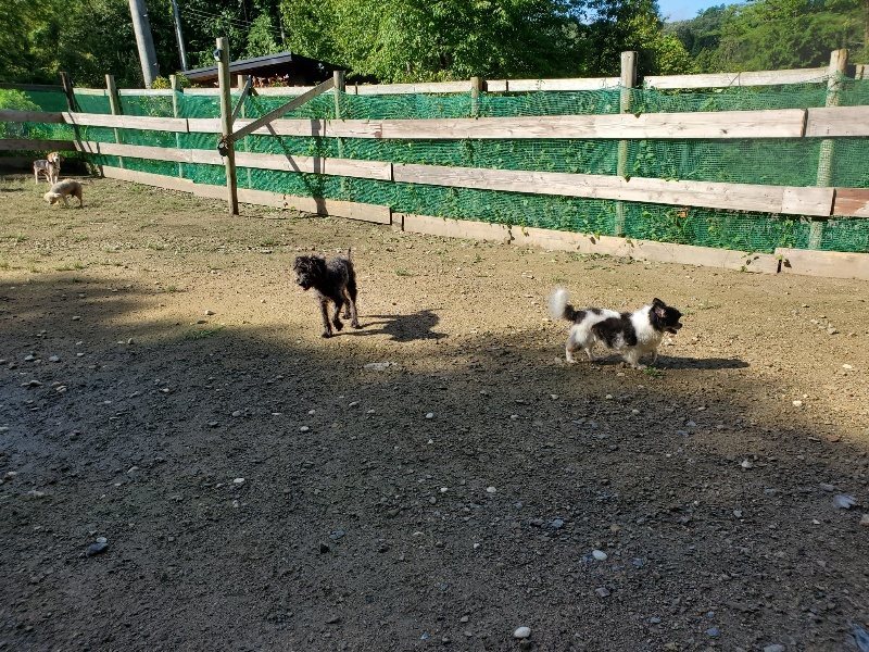 f:id:roukenhome-ann:20190907211717j:plain