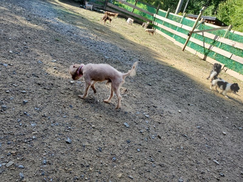 f:id:roukenhome-ann:20190907211731j:plain
