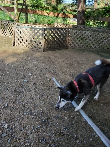 f:id:roukenhome-ann:20190907211738j:plain