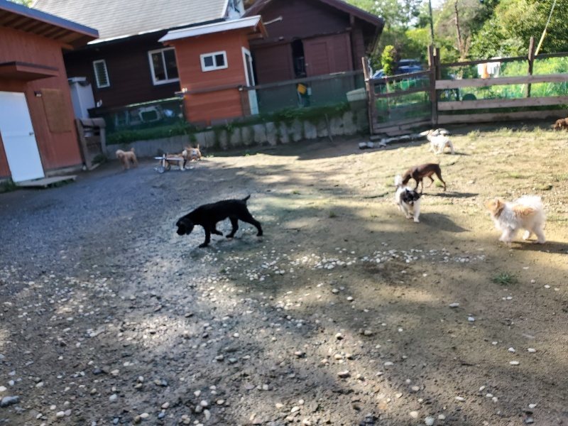 f:id:roukenhome-ann:20190907211748j:plain