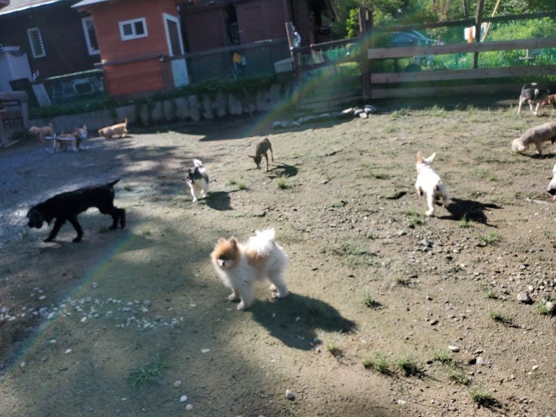 f:id:roukenhome-ann:20190907211756j:plain