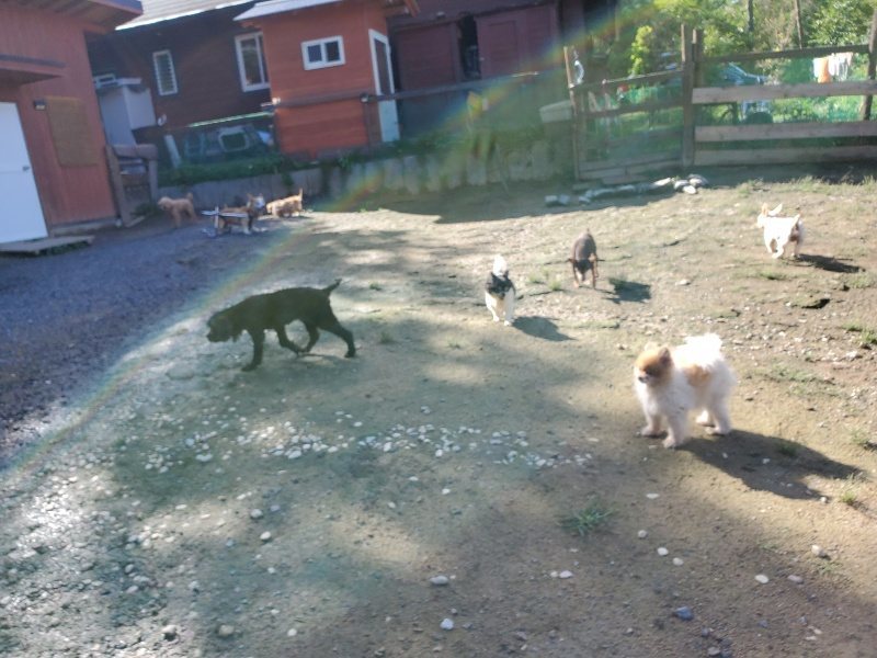 f:id:roukenhome-ann:20190907211805j:plain