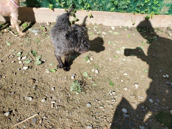 f:id:roukenhome-ann:20190907211838j:plain