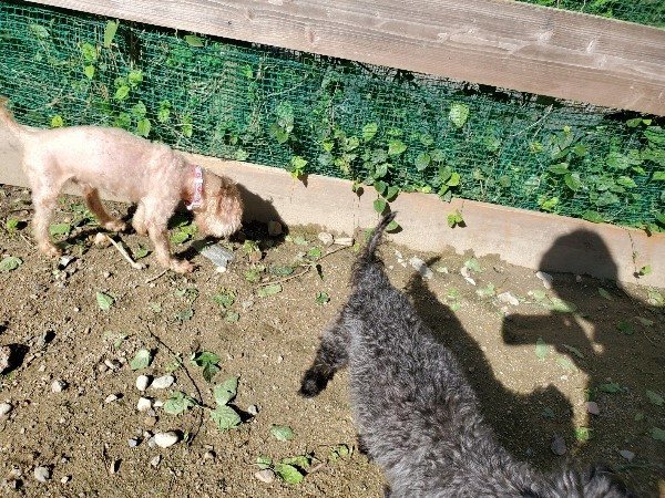 f:id:roukenhome-ann:20190907211846j:plain