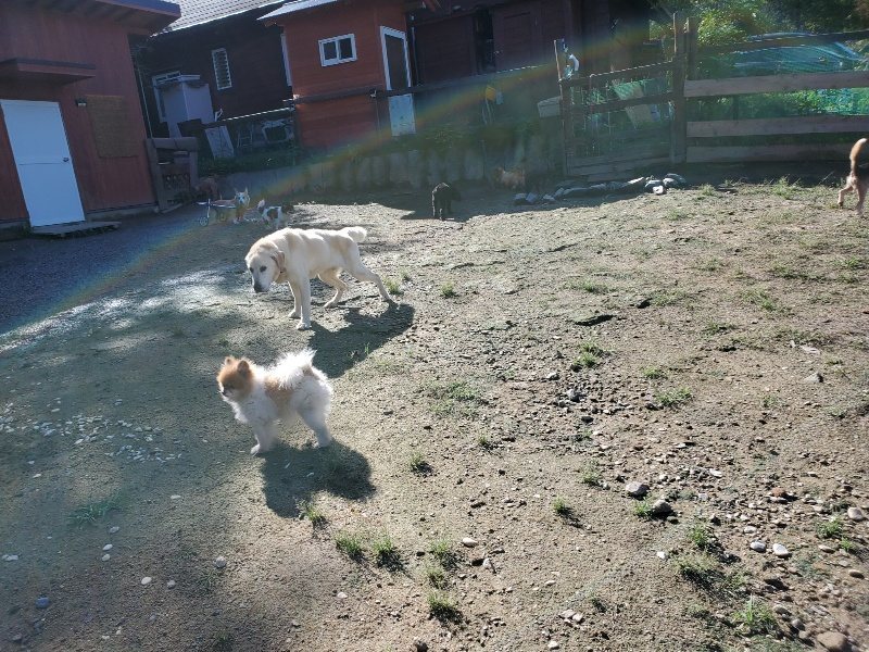 f:id:roukenhome-ann:20190907211915j:plain