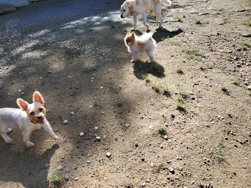 f:id:roukenhome-ann:20190907211928j:plain