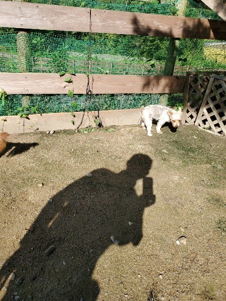 f:id:roukenhome-ann:20190907212159j:plain