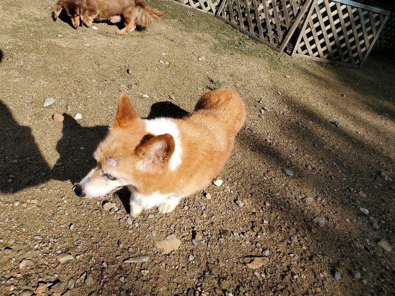 f:id:roukenhome-ann:20190907212241j:plain