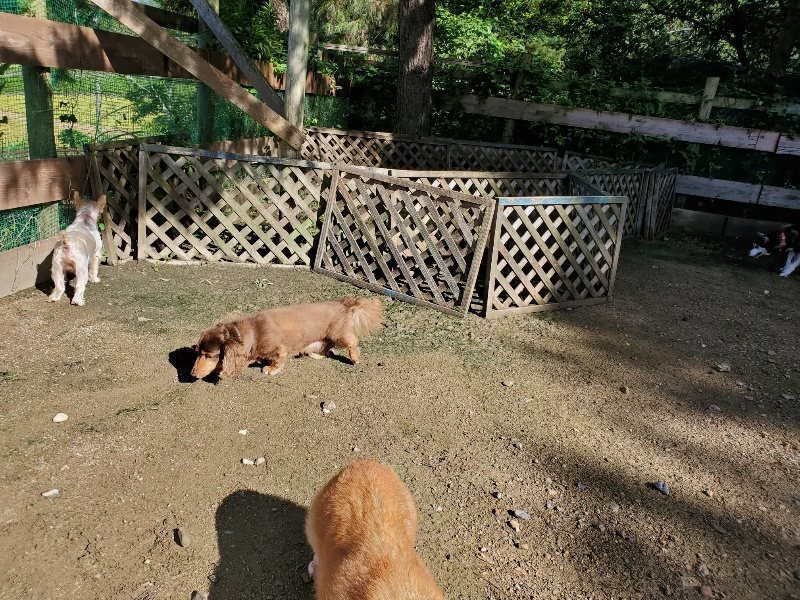 f:id:roukenhome-ann:20190907212302j:plain