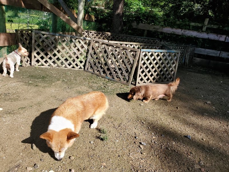 f:id:roukenhome-ann:20190907212330j:plain