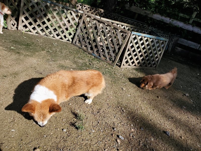 f:id:roukenhome-ann:20190907212400j:plain