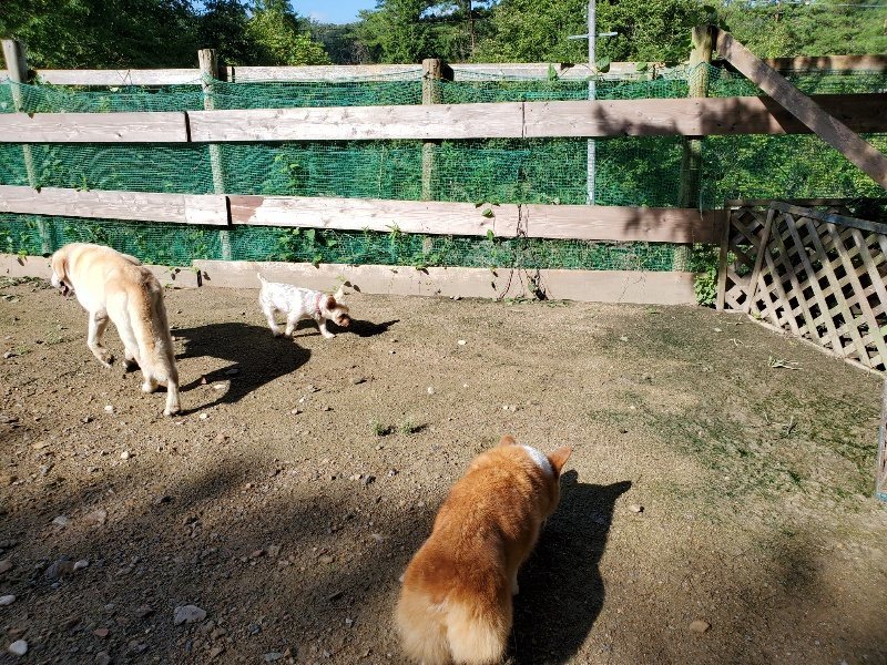 f:id:roukenhome-ann:20190907212509j:plain