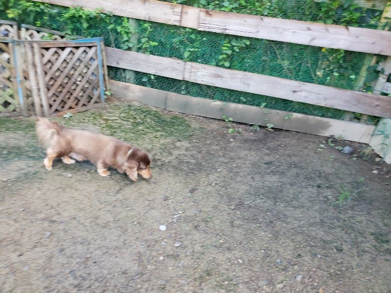 f:id:roukenhome-ann:20190907212617j:plain