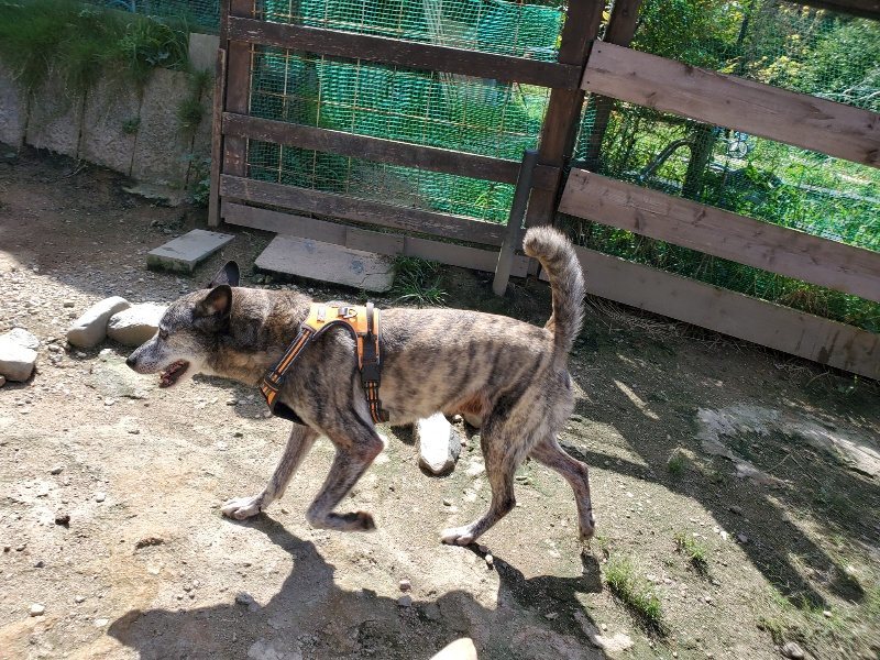 f:id:roukenhome-ann:20190908142514j:plain