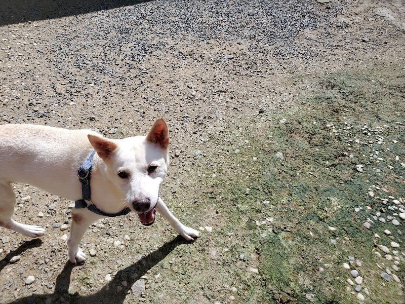 f:id:roukenhome-ann:20190908142549j:plain