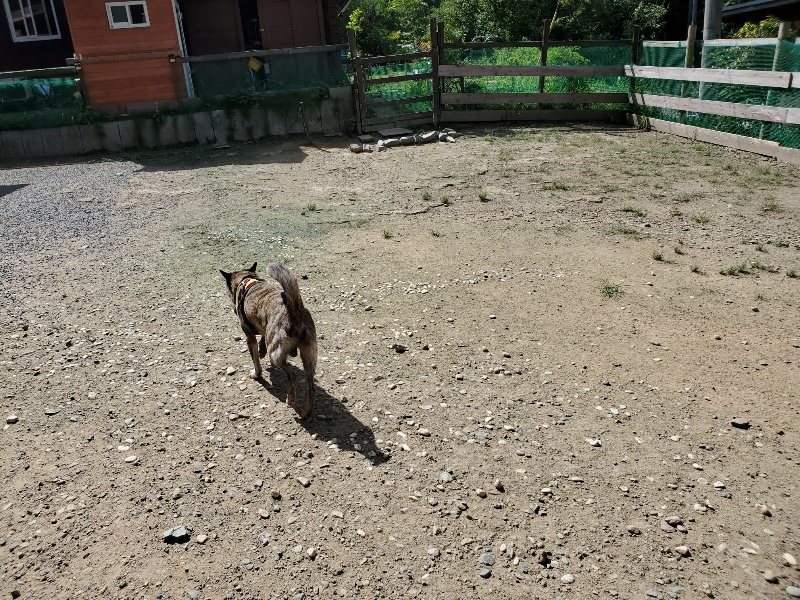f:id:roukenhome-ann:20190908142600j:plain