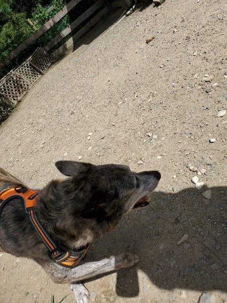f:id:roukenhome-ann:20190908142608j:plain