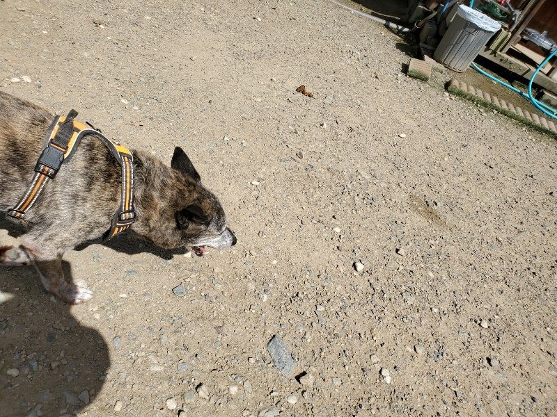 f:id:roukenhome-ann:20190908142616j:plain