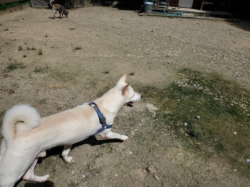 f:id:roukenhome-ann:20190908142646j:plain