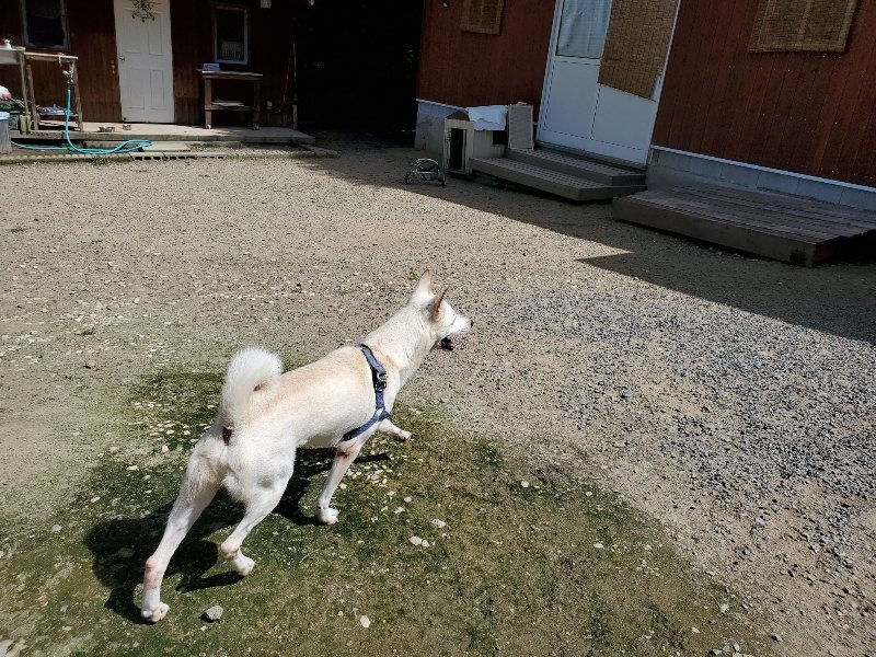 f:id:roukenhome-ann:20190908142703j:plain