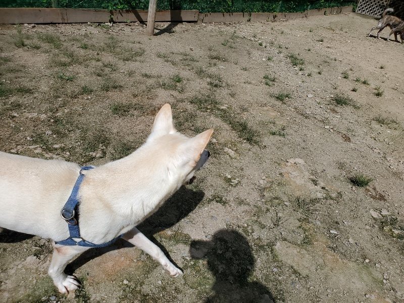 f:id:roukenhome-ann:20190908142714j:plain