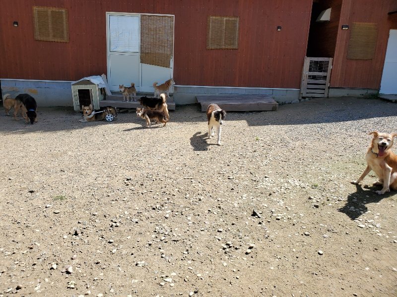 f:id:roukenhome-ann:20190908142744j:plain