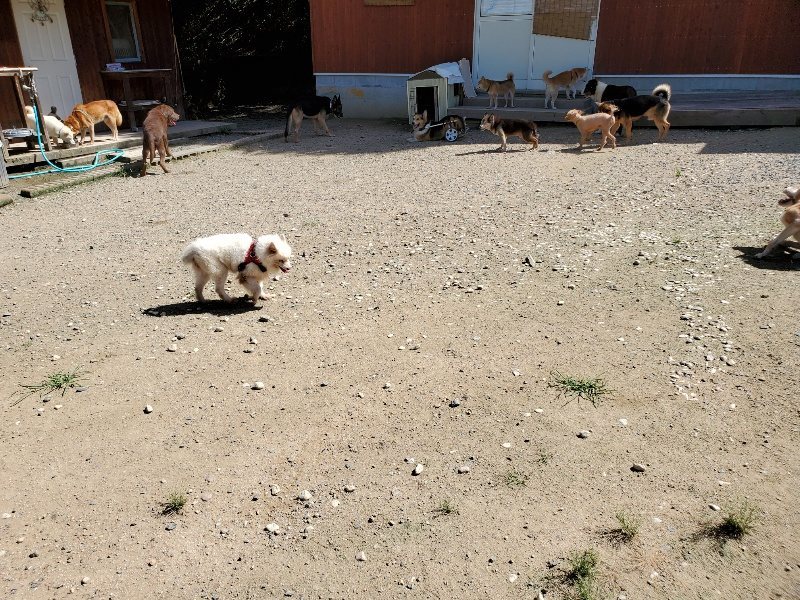 f:id:roukenhome-ann:20190908142753j:plain