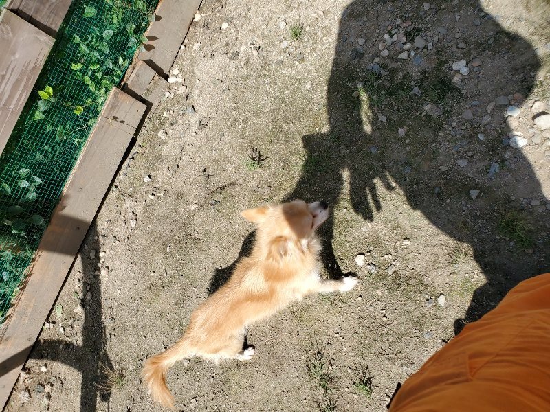 f:id:roukenhome-ann:20190908142808j:plain