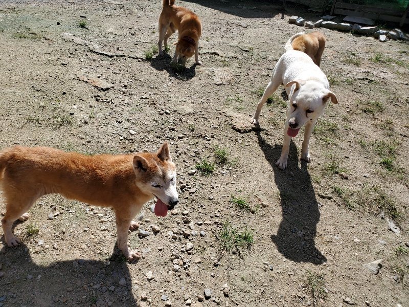 f:id:roukenhome-ann:20190908142825j:plain
