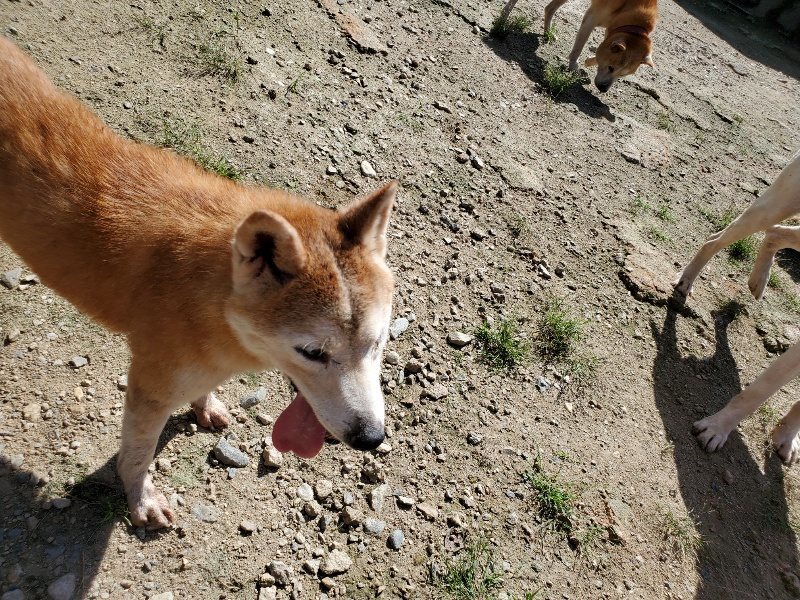 f:id:roukenhome-ann:20190908142842j:plain