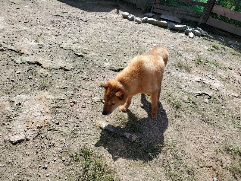 f:id:roukenhome-ann:20190908142920j:plain