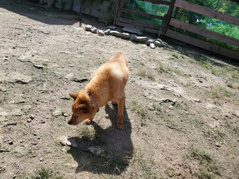 f:id:roukenhome-ann:20190908142927j:plain
