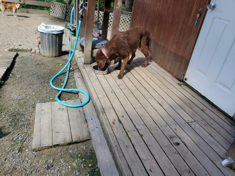 f:id:roukenhome-ann:20190908151924j:plain