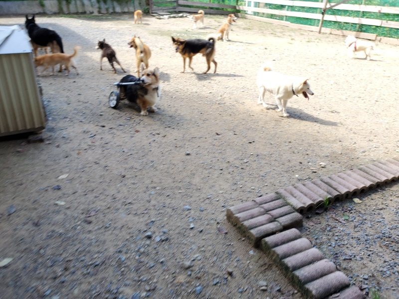 f:id:roukenhome-ann:20190908151934j:plain