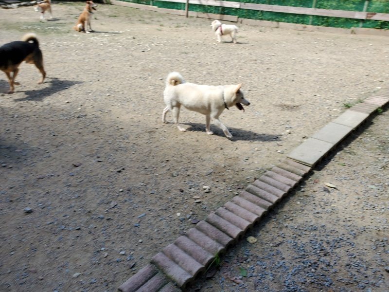 f:id:roukenhome-ann:20190908151939j:plain