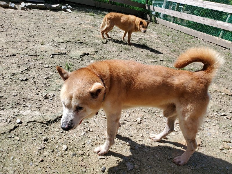 f:id:roukenhome-ann:20190908152003j:plain