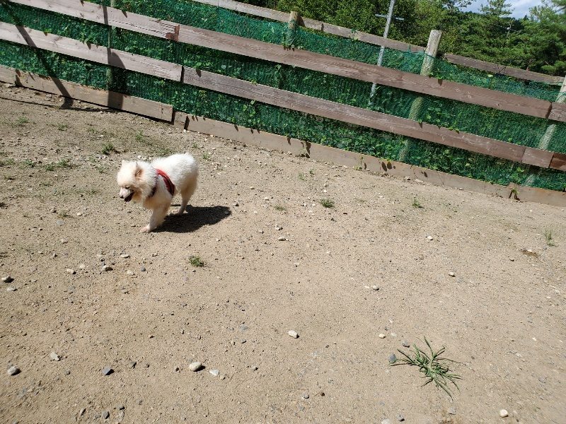 f:id:roukenhome-ann:20190908152050j:plain