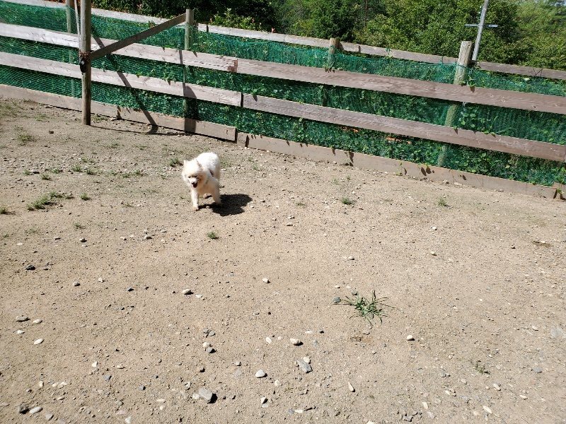 f:id:roukenhome-ann:20190908152104j:plain