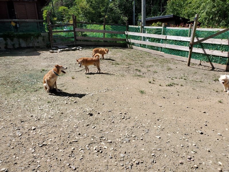 f:id:roukenhome-ann:20190908152123j:plain
