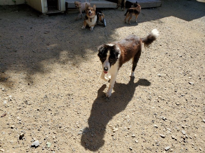f:id:roukenhome-ann:20190908152137j:plain