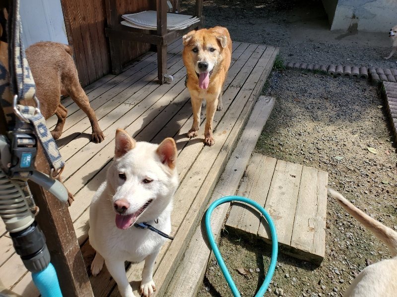 f:id:roukenhome-ann:20190908152145j:plain