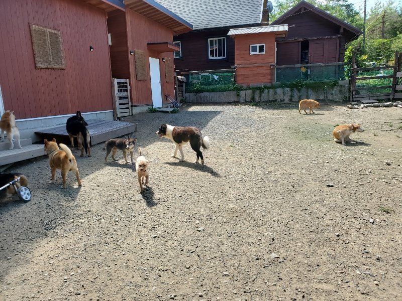 f:id:roukenhome-ann:20190908152200j:plain