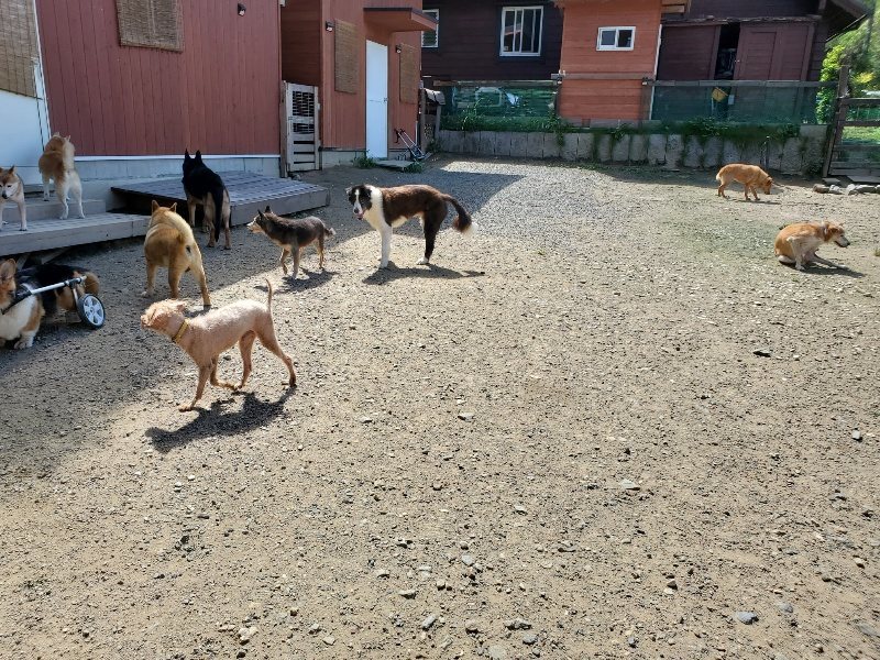 f:id:roukenhome-ann:20190908152208j:plain