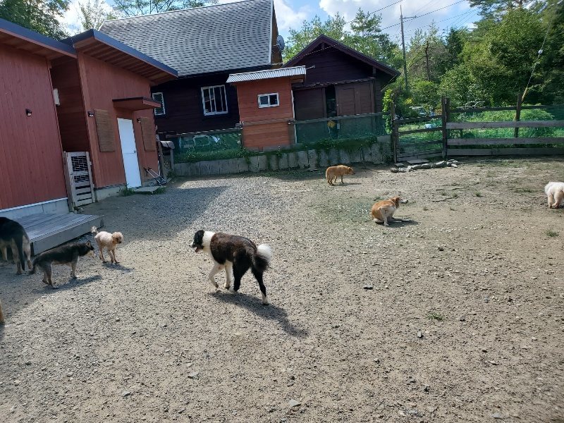 f:id:roukenhome-ann:20190908152214j:plain