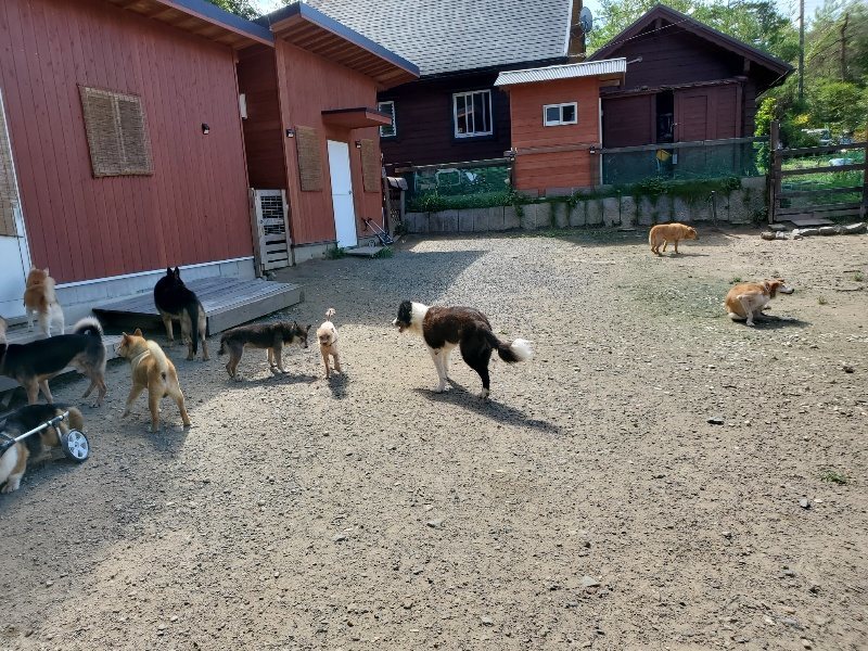 f:id:roukenhome-ann:20190908152219j:plain